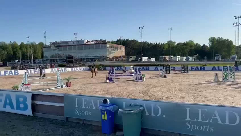 Allround hästar till salu: Stor snygg kille till valfri diciplin! i Flen - Video 4