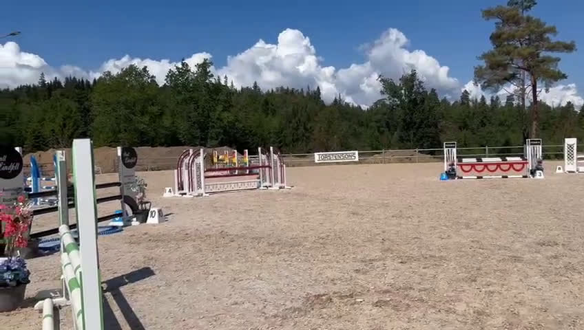 Hoppning hästar till salu: Drömponnyn Vera till salu! - Video 5