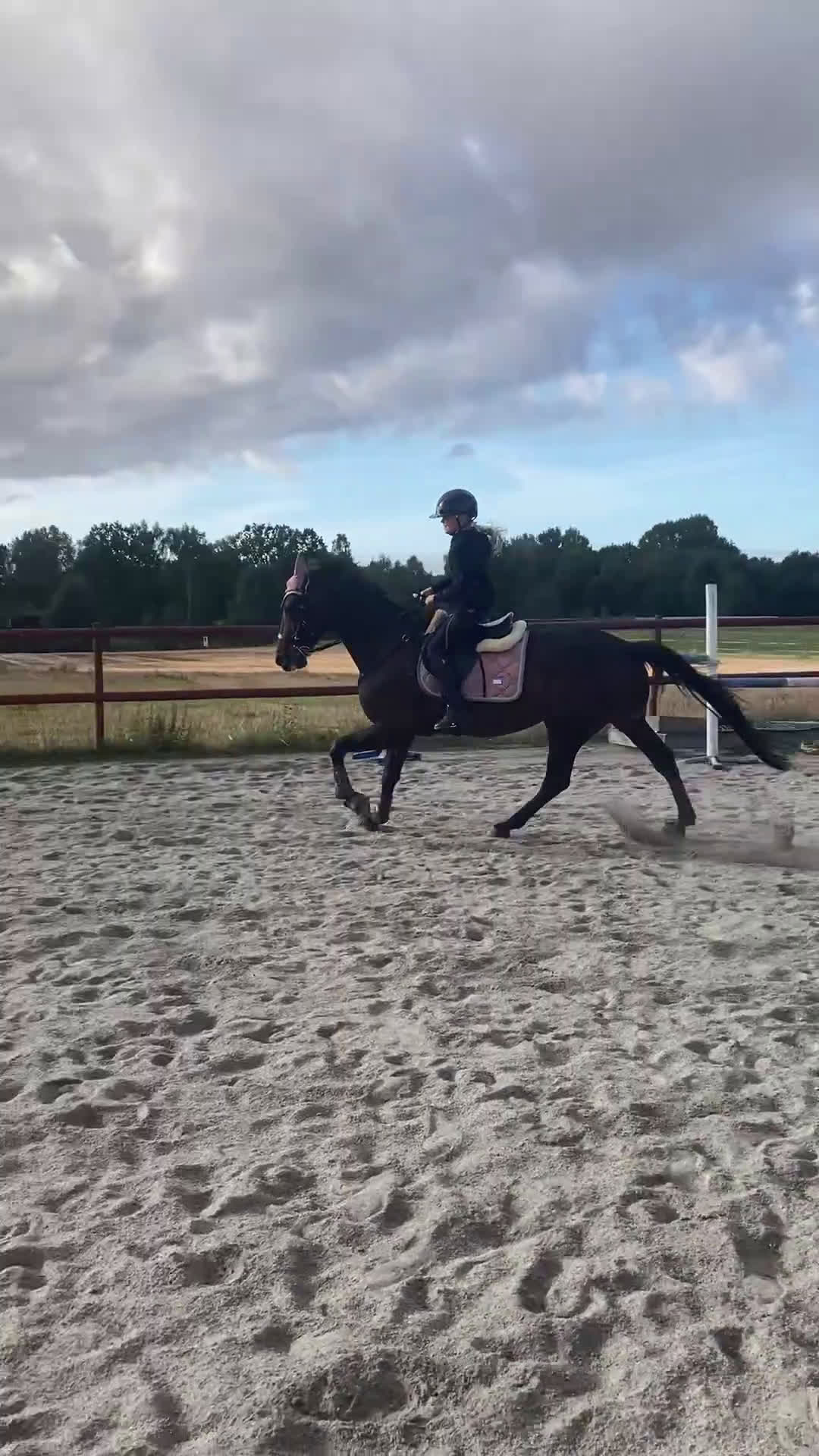 Allround hästar till salu: Hennesy – hästen som ger allt för sin människa 💛 i Näsum - Video 1