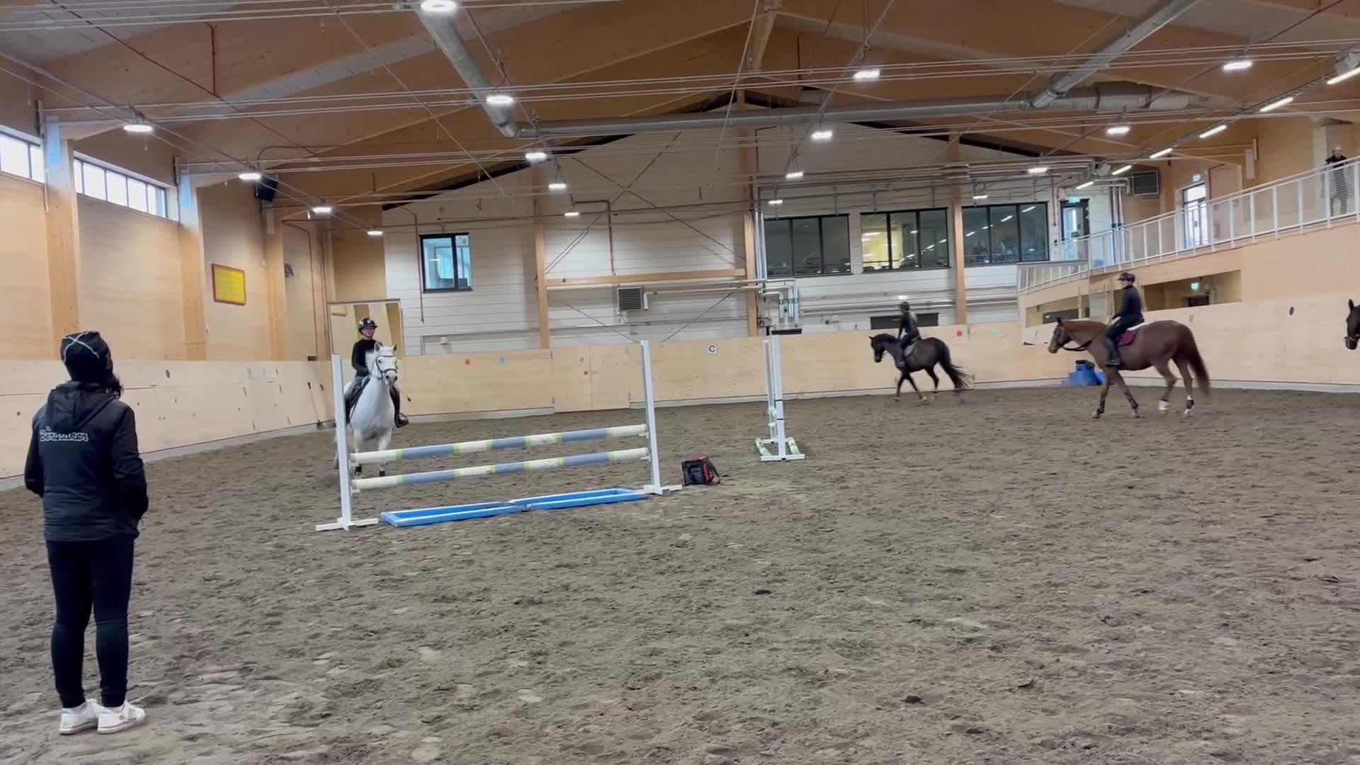 Allround hästar till salu: Trevlig C ponny  - Video 1