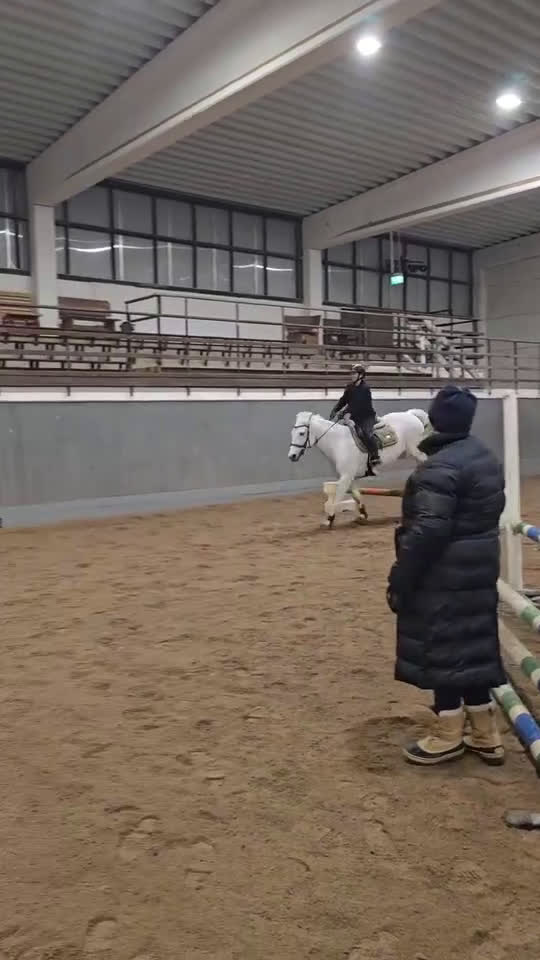 Allround hästar till salu: Mysig allaroundponny! - Video 2