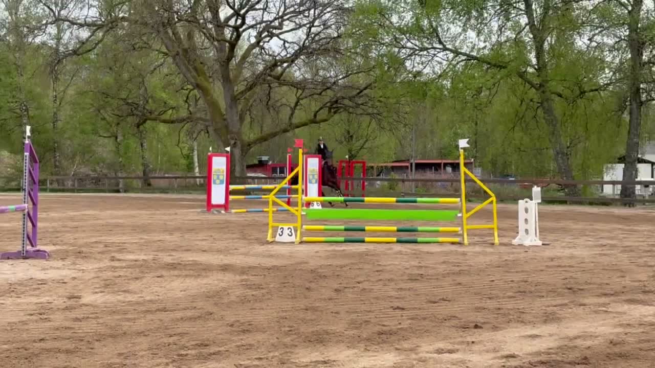 Hoppning hästar till salu: Talangfull 4 åring  - Video 2