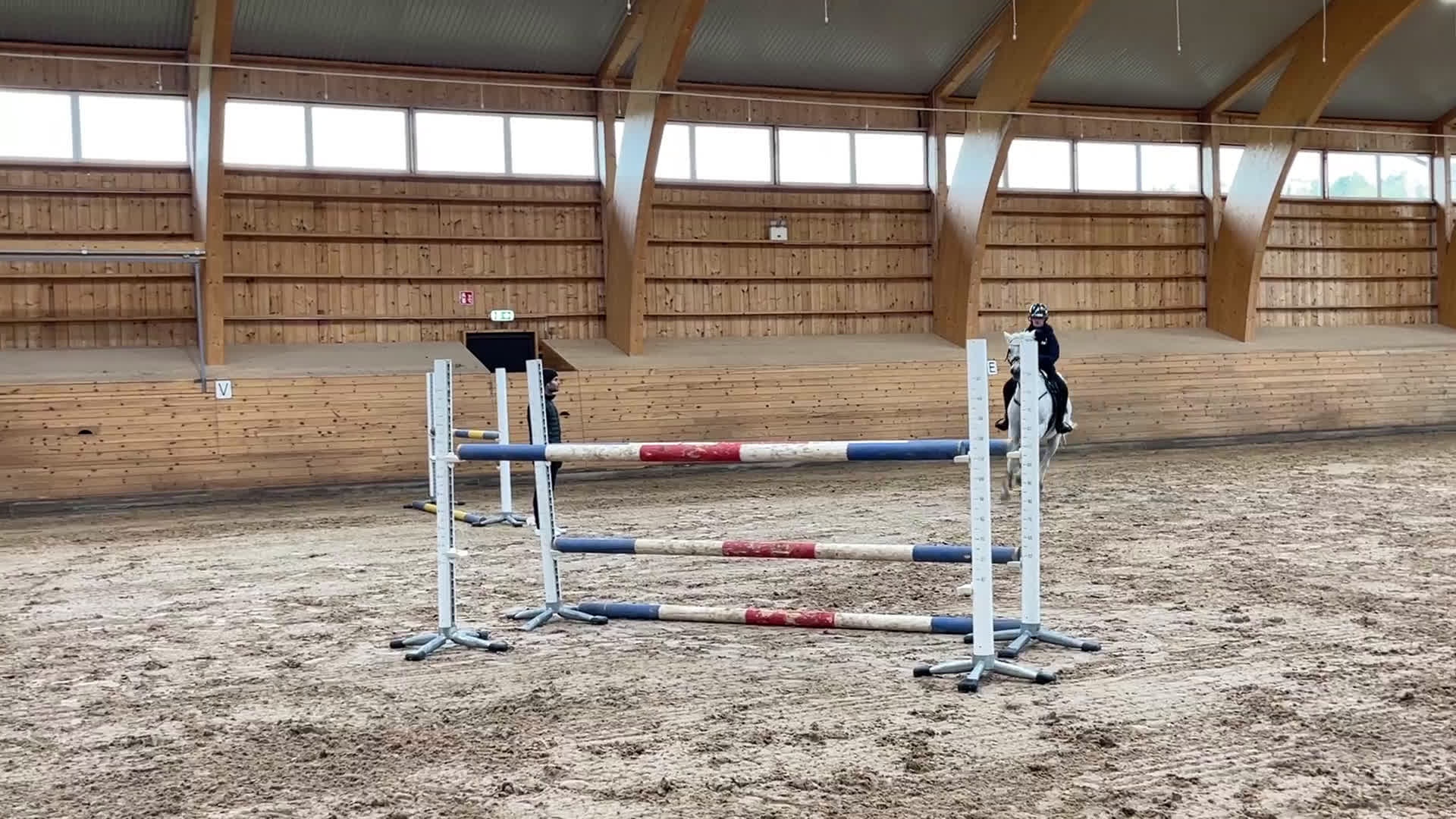 Hoppning hästar till salu: Magisk läromästare  i Upplands Väsby - Video 2