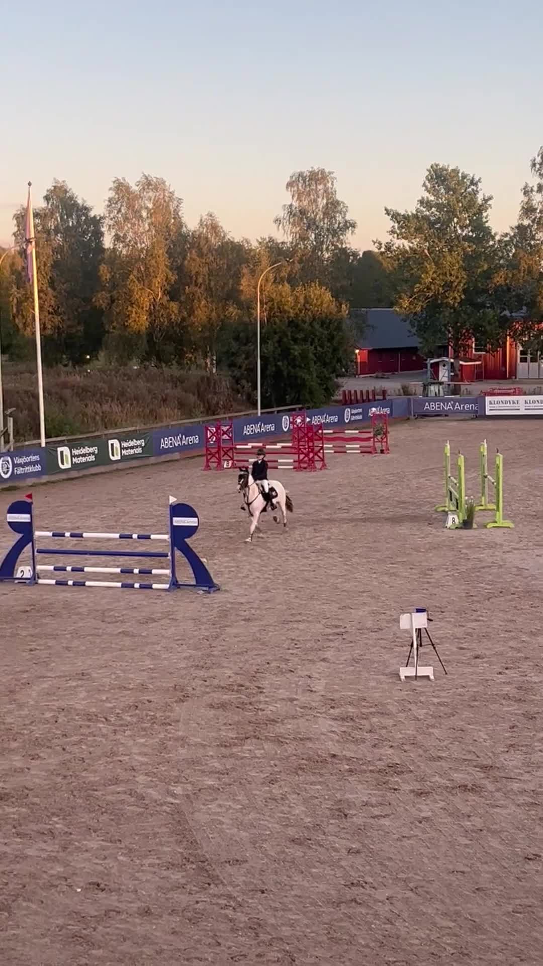 Hoppning hästar till salu: Tävlings ponny på 7år, för det högre klasserna - Video 1