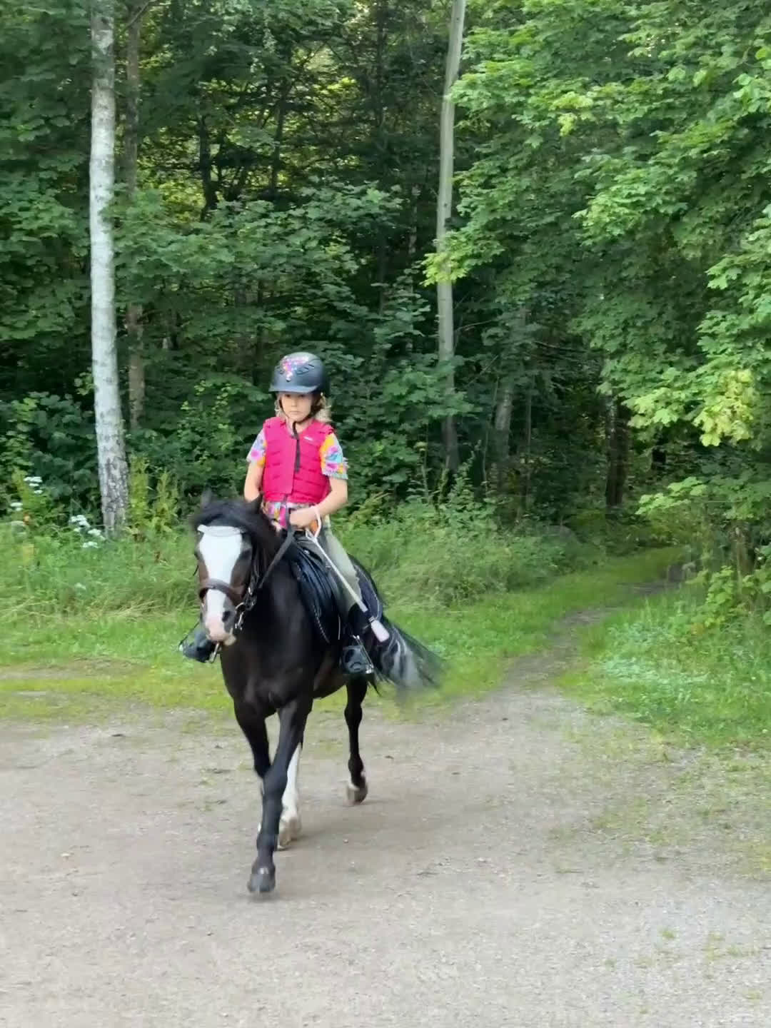 Allround hästar till salu: Allsidig barnponny - Video 2