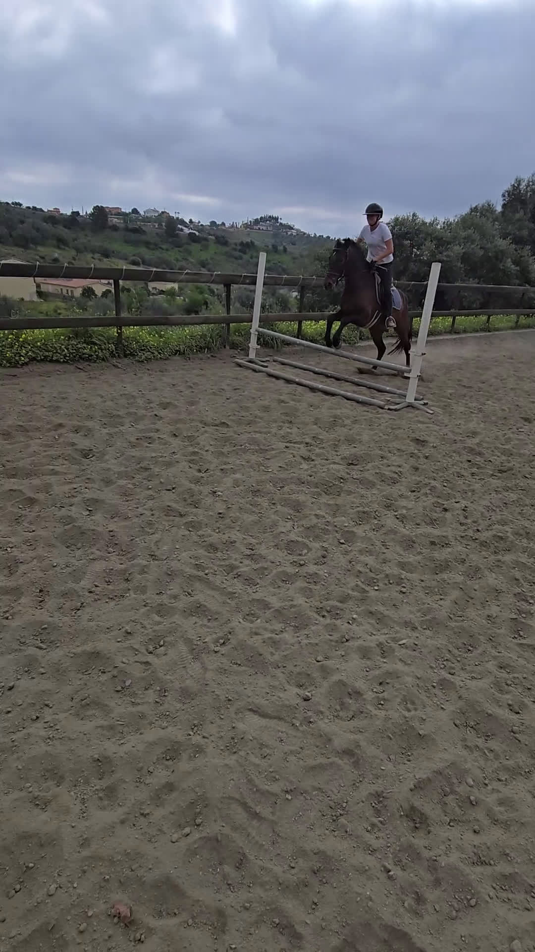 Hoppning hästar till salu: Trevliga hästar och ponnier i Spanien  - Video 1