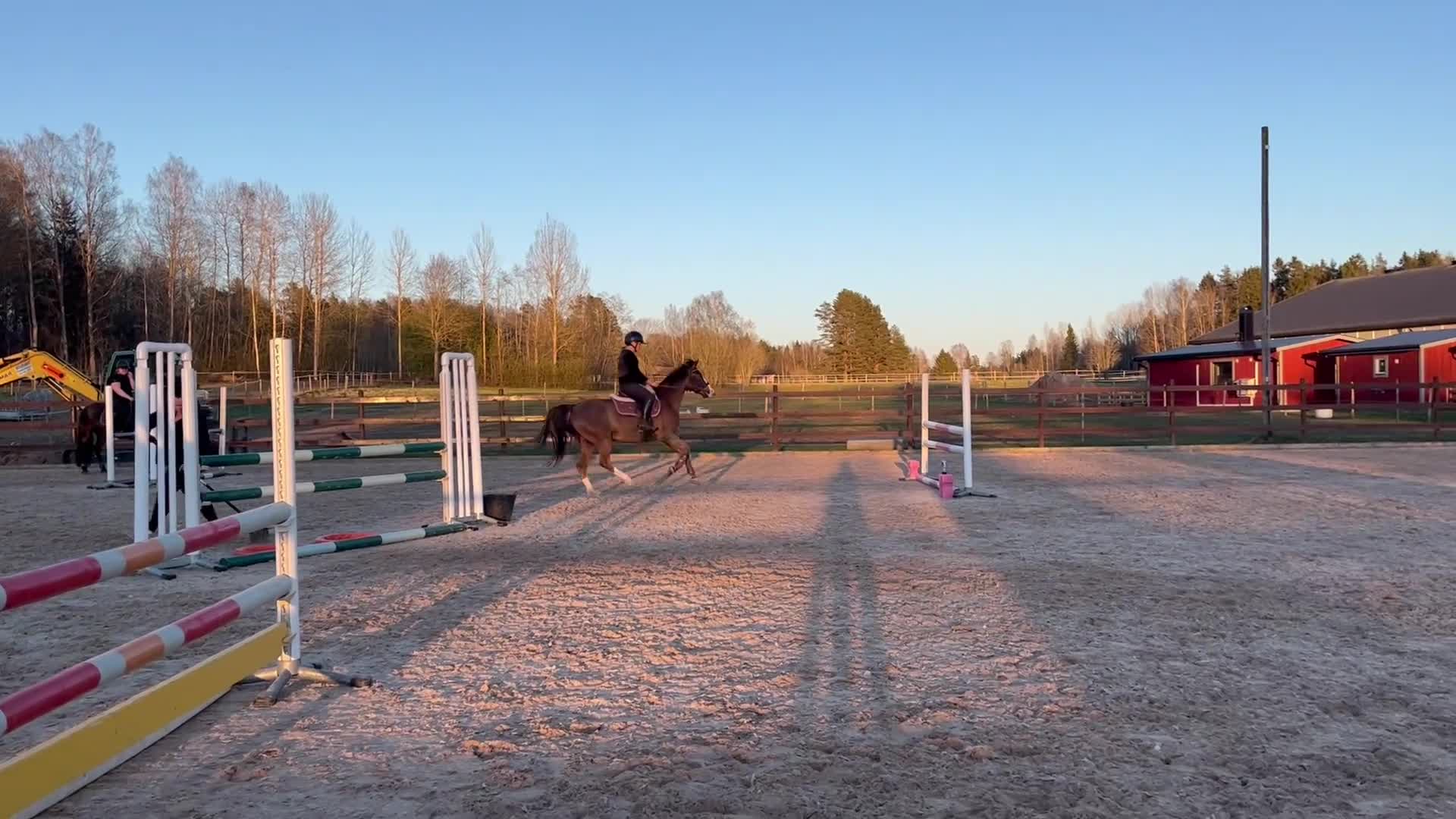 Hoppning hästar till salu: Välutbildad maxad C-Ponny  - Video 1