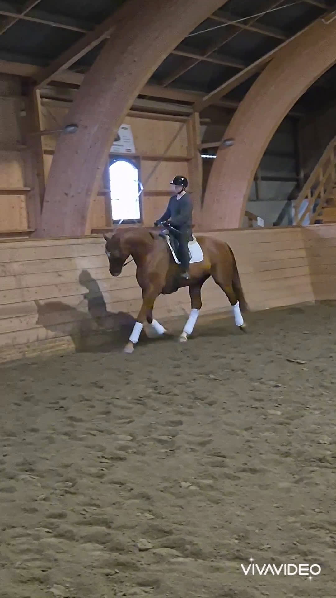 Allround hästar till salu: Perfekt första unghäst i Garphyttan - Video 1