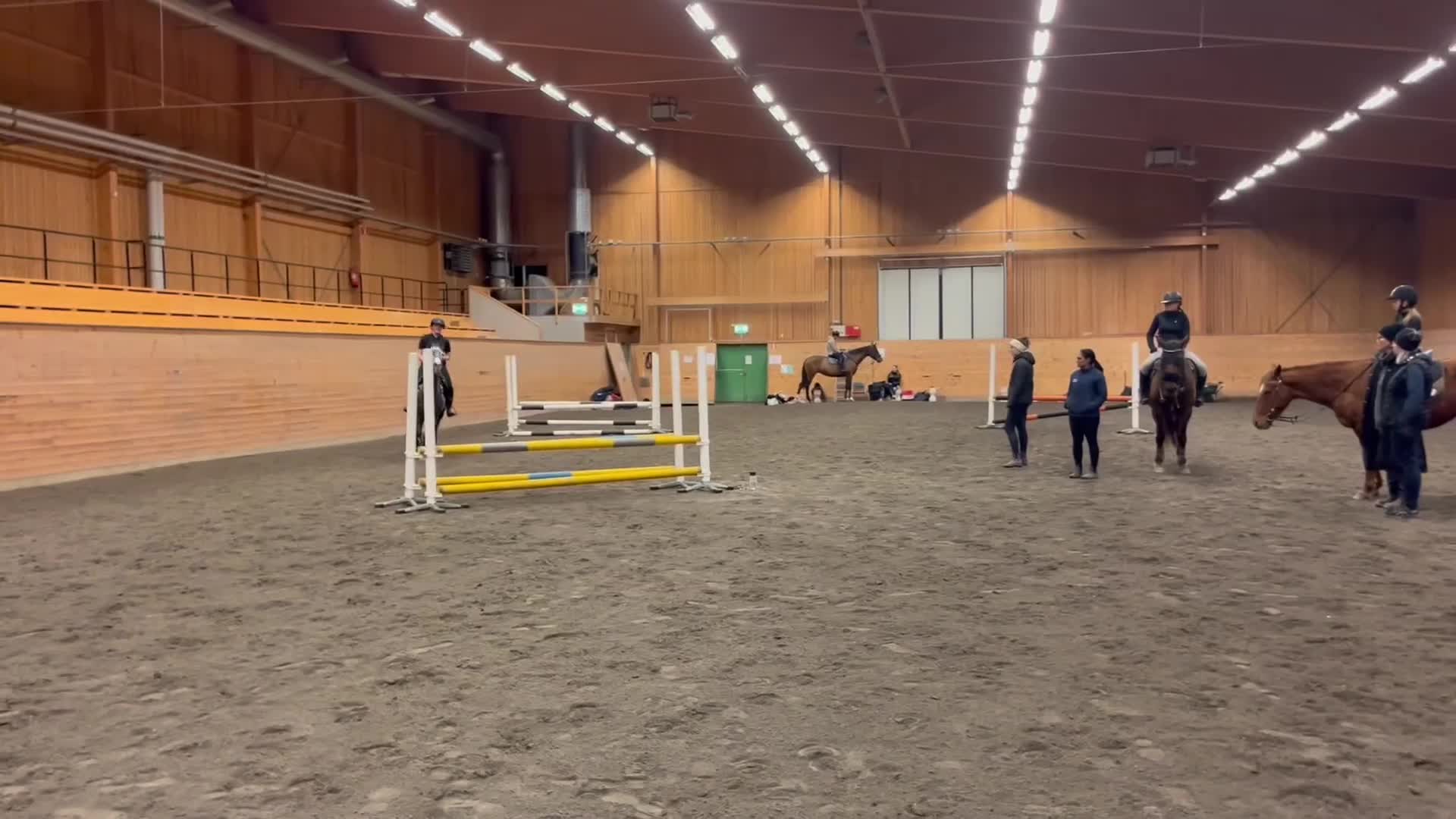 Allround hästar till salu: Projekt ponny i Bollstabruk - Video 1