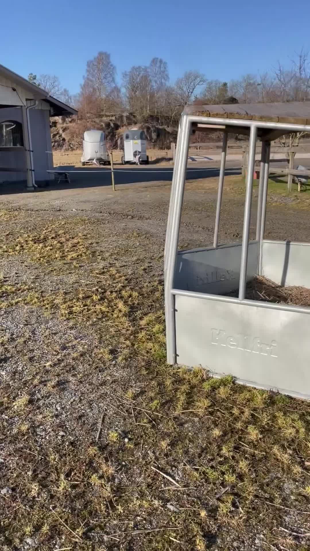  foderhäst sökes: Sällskapshäst/skogsmulle sökes i Älvängen - Video 1