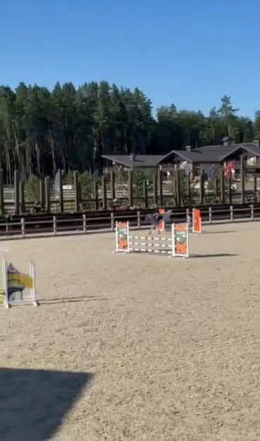 Allround hästar till salu: Super fin allround häst  i Västerås - Video 1
