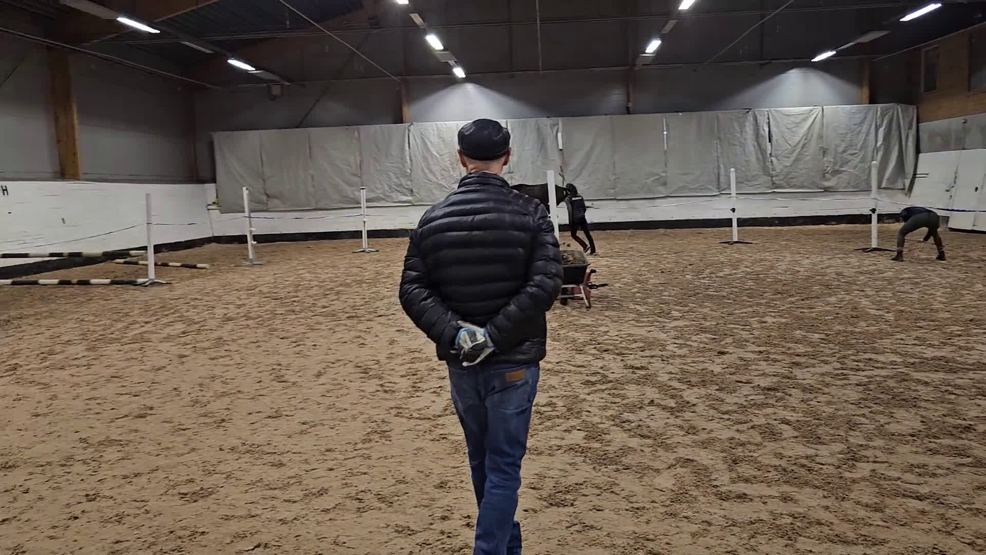 Hoppning hästar till salu: Iögonfallande 4-åring - Video 3