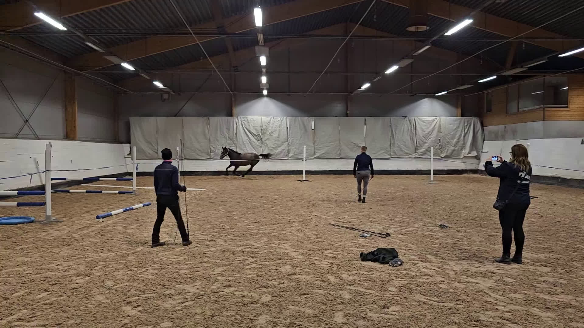 Hoppning hästar till salu: Talangfull hopphäst med lovande framtid i Vännäs - Video 1