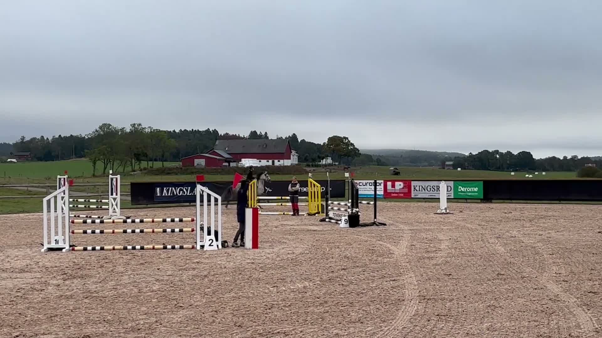 Allround hästar till salu: Fin maxad D-ponny - Video 1