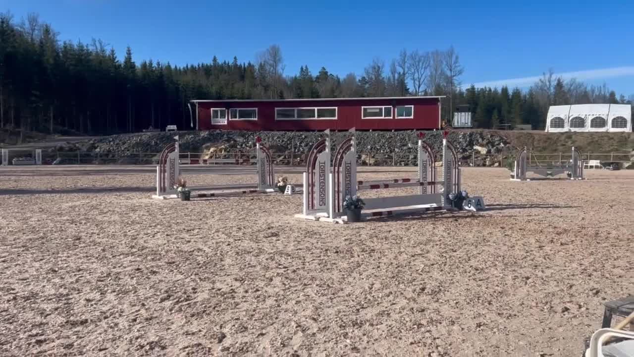 Hoppning hästar till salu: Tävlingsponny med hjärta av guld 💛  - Video 3