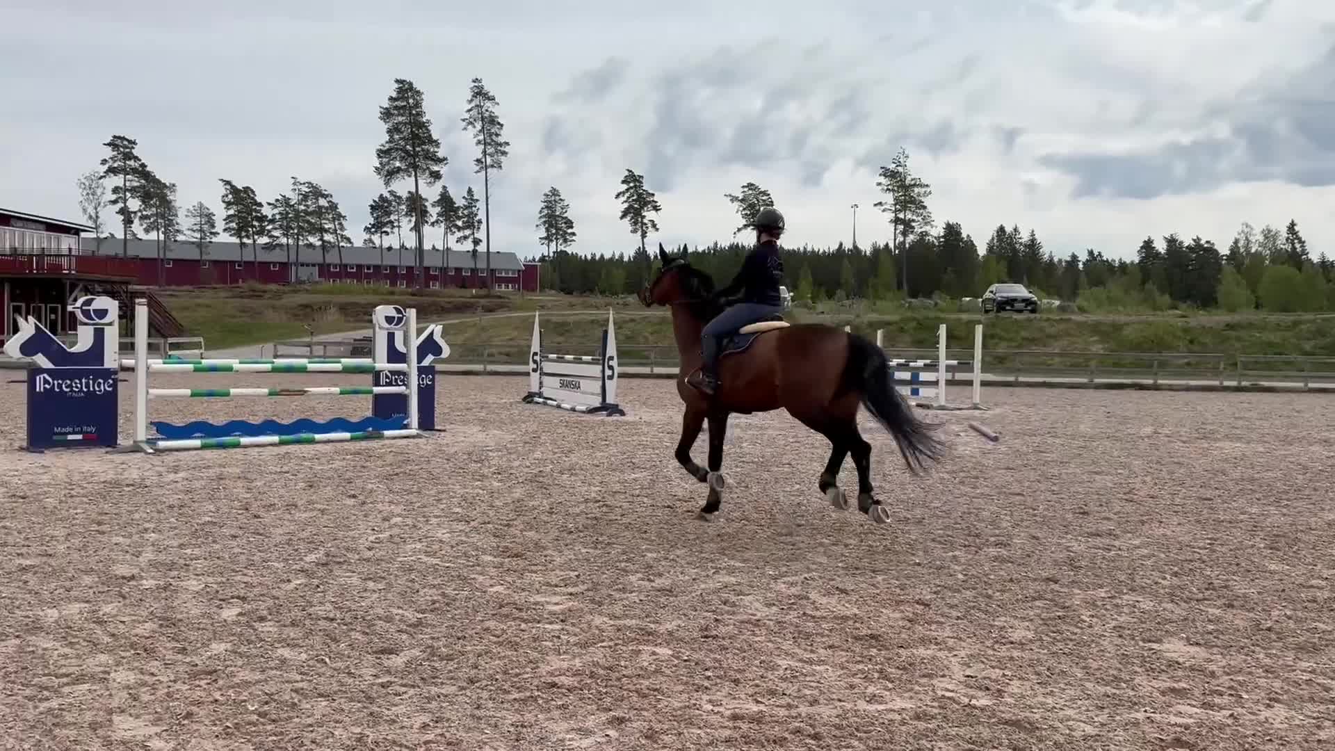 Hoppning hästar till salu: Fin hopphäst till rätt hem - Video 1