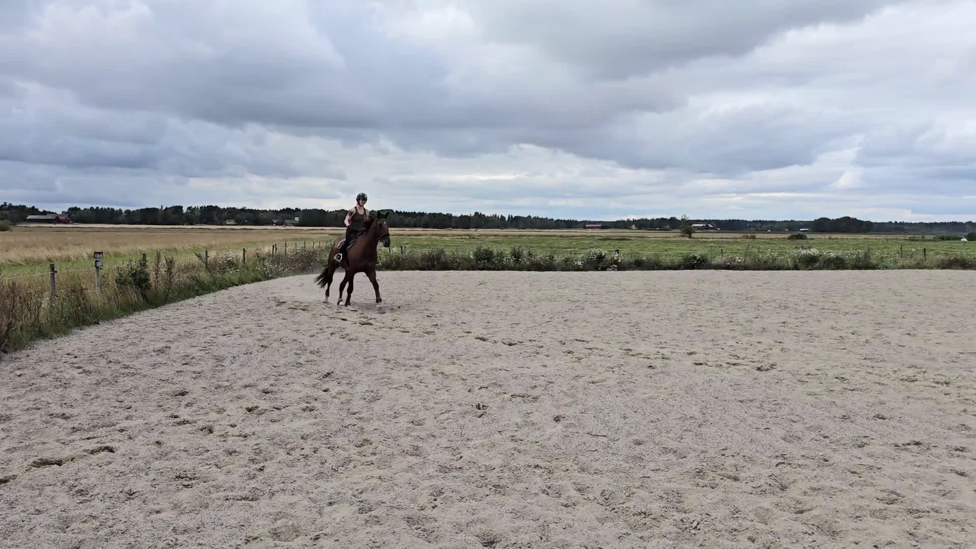 Hoppning hästar till salu: Fantastiskt hoppsto med kapacitet för mer i Västerås - Video 1