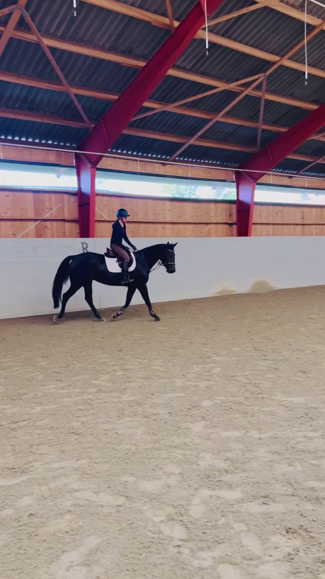 Allround hästar till salu: FYND! Trevlig allroundhäst! i Broby - Video 1