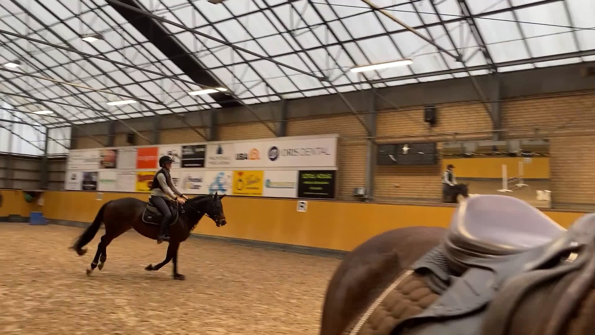 Allround hästar till salu: Vackert allroundsto med positiv inställning! i Höllviken - Video 4