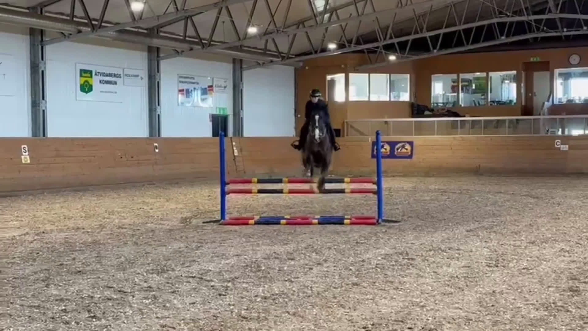 Hoppning hästar till salu: Piggt sto - Video 1