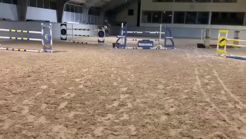 Hoppning hästar till salu: Ferrari söker ny förare! i Hunnebostrand - Video 1