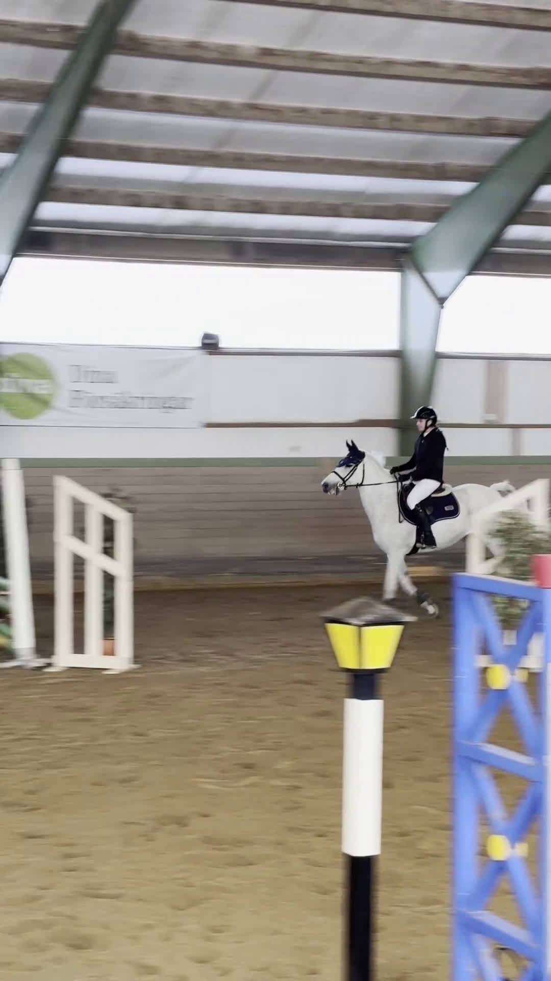  foderhäst sökes: Foderhäst för eventuellt senare köp i Gävle - Video 1