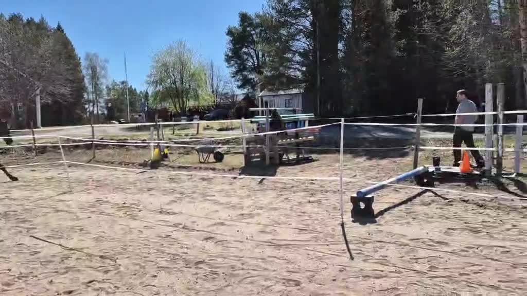 Allround hästar till salu: SÅLD Trygg häst till körning, ridning, hoppning - Video 1