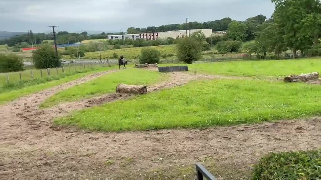 Hoppning hästar till salu: 4 årig d-ponny valack  i Ödsmål - Video 2