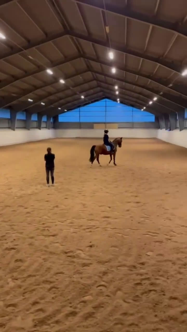 Dressyr hästar till salu: FEI Dressyrponnyn som hänger med på allt i Njurunda - Video 4