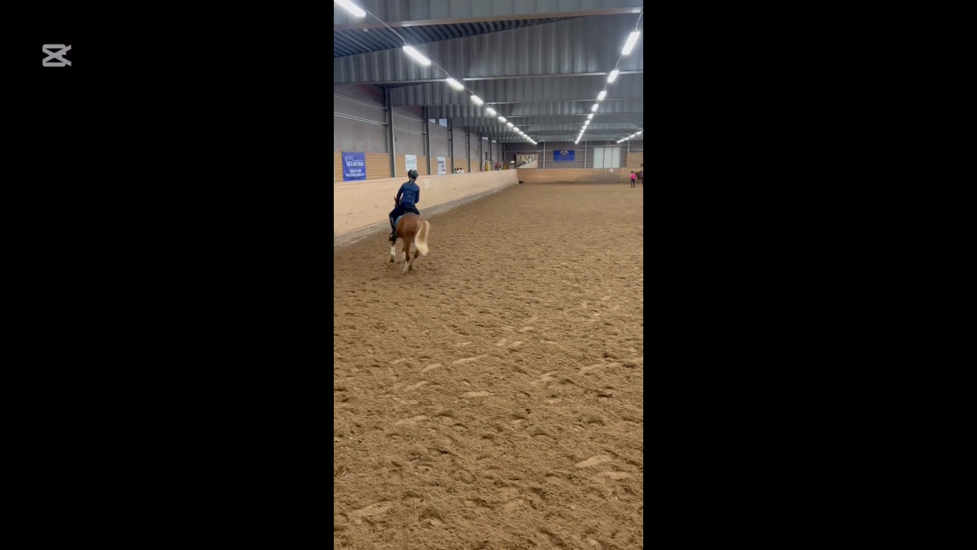 Allround hästar till salu: Topp ponny för de högsta klasserna i Sunne - Video 3