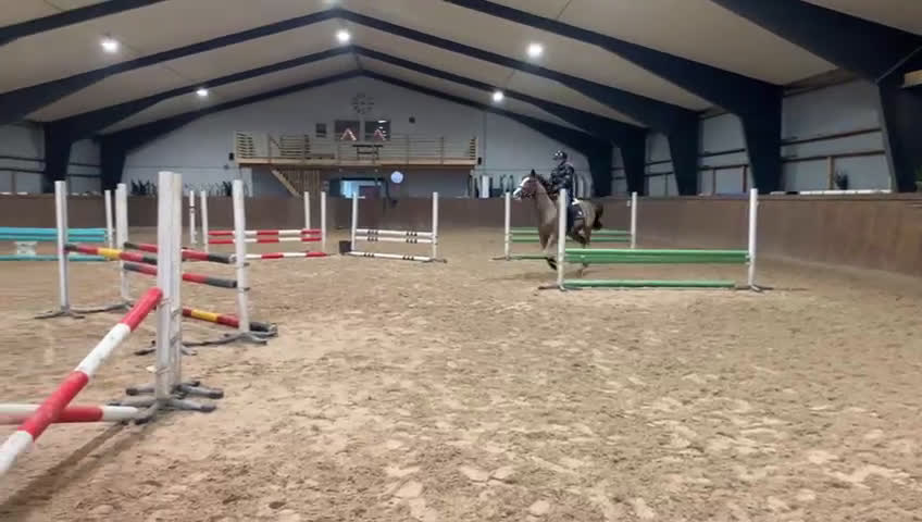 Allround hästar till salu: Trevlig maxad D-ponny! i Laholm - Video 3