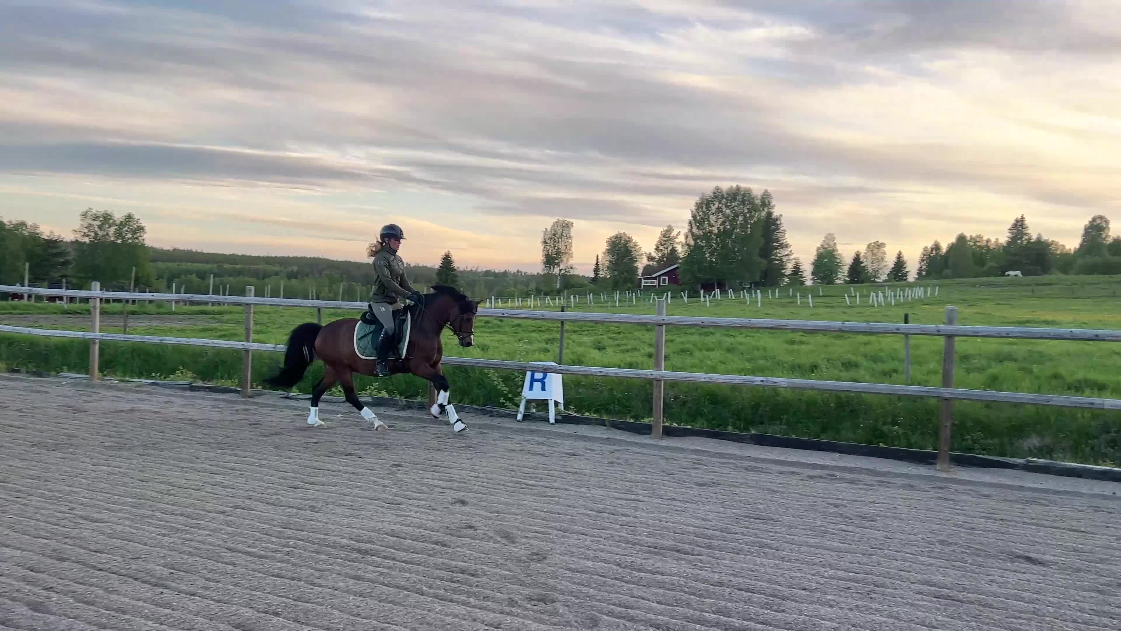 Allround hästar till salu: Perfekta allroundponnyn! - Video 1