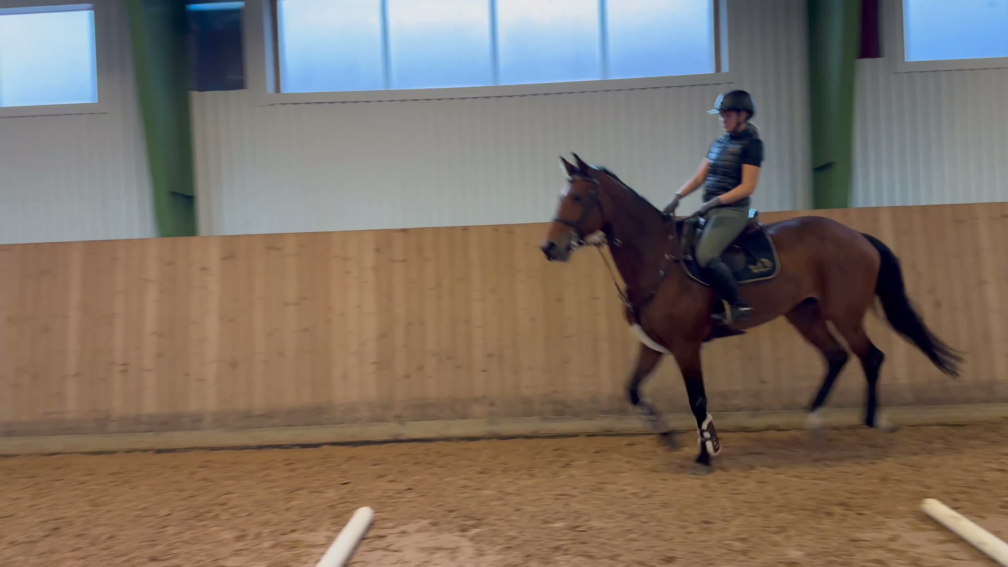 Hoppning hästar till salu: Trevlig hobbyhäst - Video 1