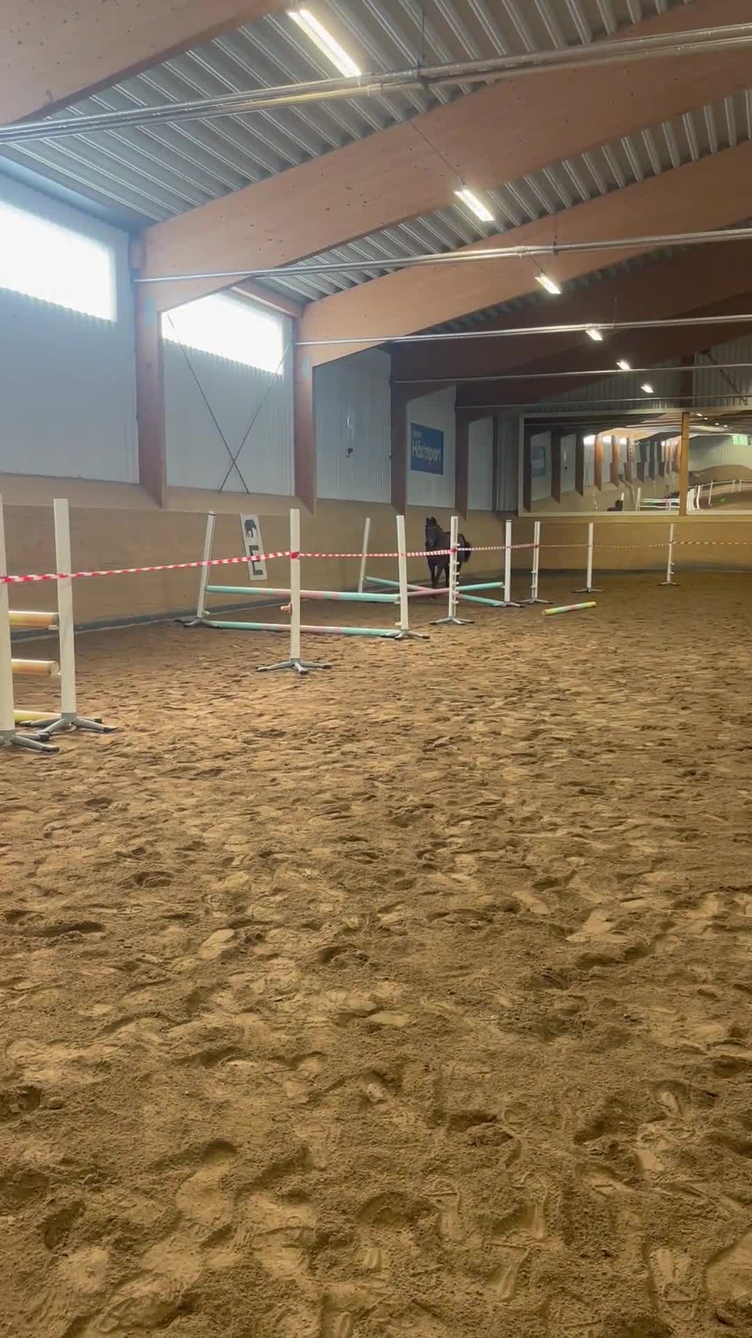 Allround hästar till salu: INTRESSEKOLL VALACK - Video 1