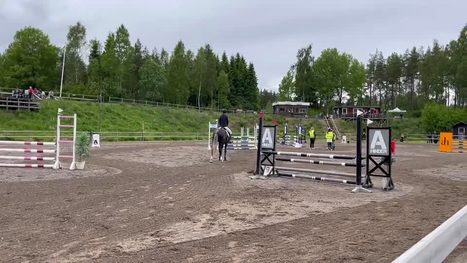 Allround hästar till salu: Trevlig och charmig allroundhäst söker tryggt hem i Jönköping - Video 2