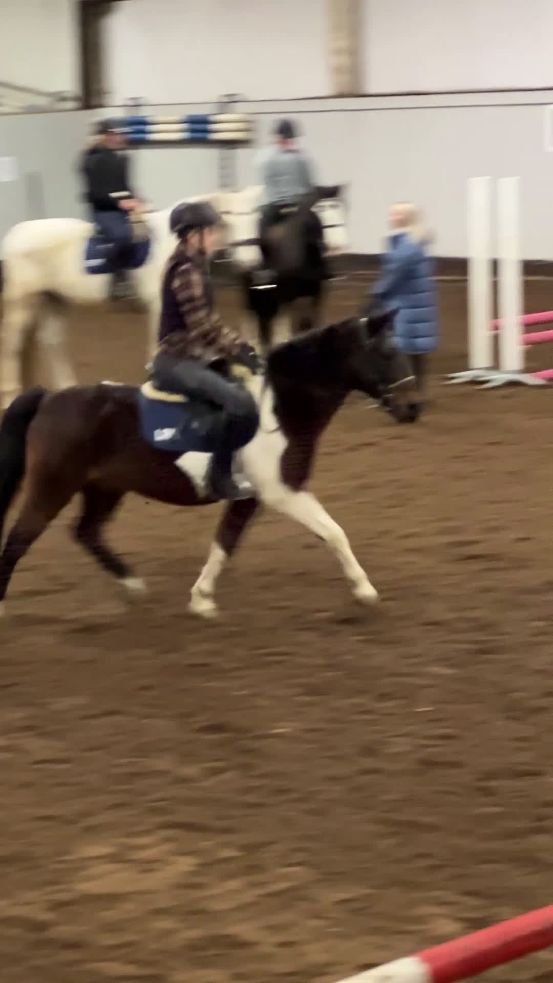  medryttarhäst sökes: Medryttarhäst sökes! - Video 2