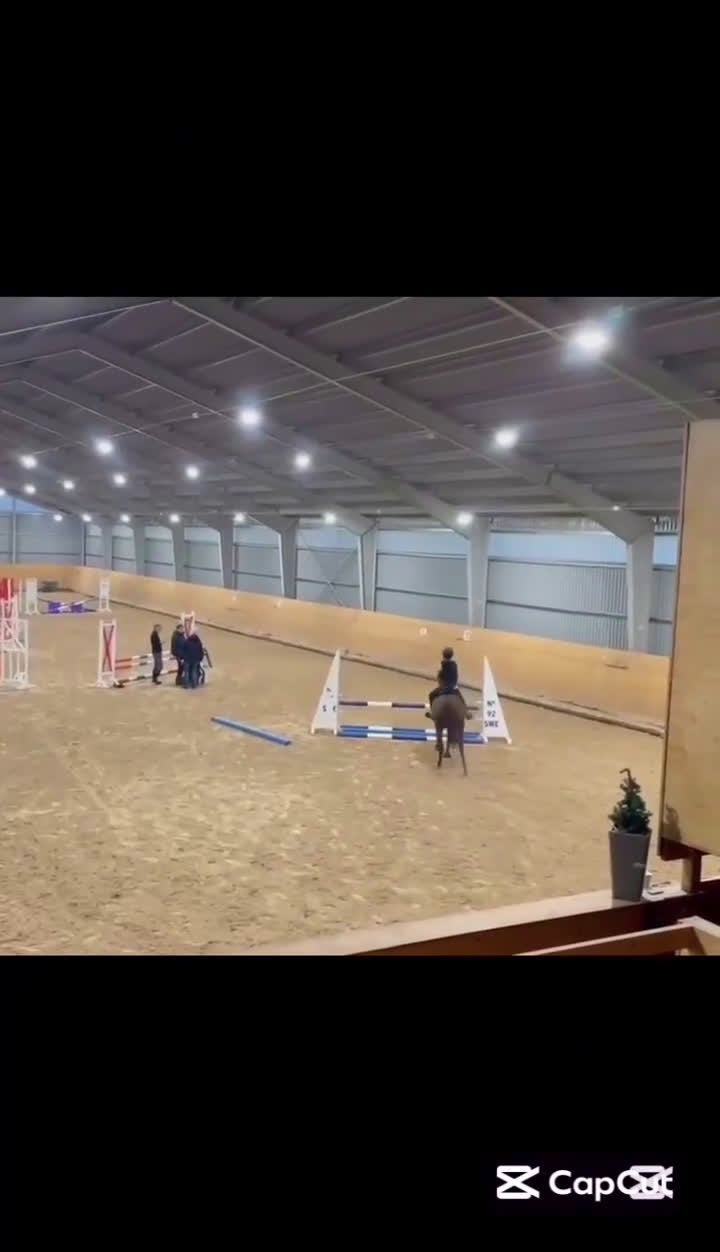 Hoppning hästar till salu: Hoppglad ponny i Vadstena - Video 2