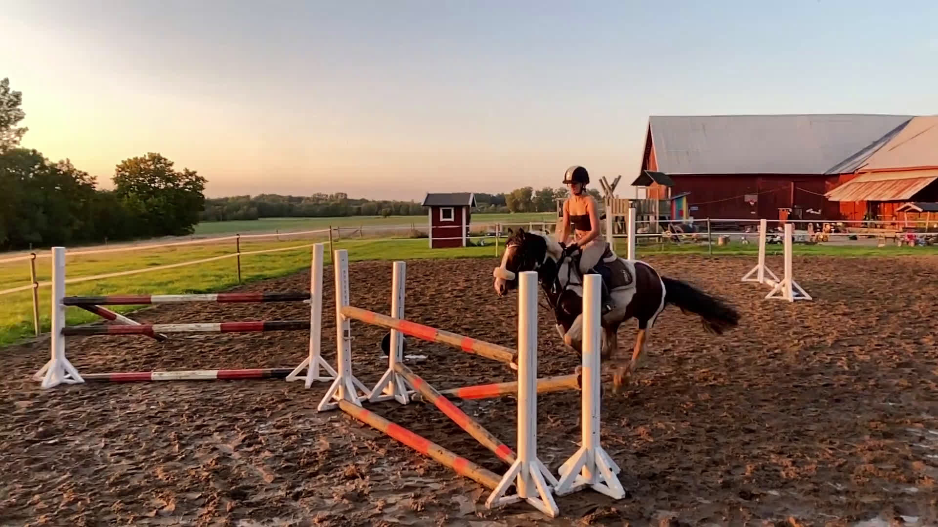 Allround hästar till salu: ❤️Fina Blaze N Fire💥 - Video 2