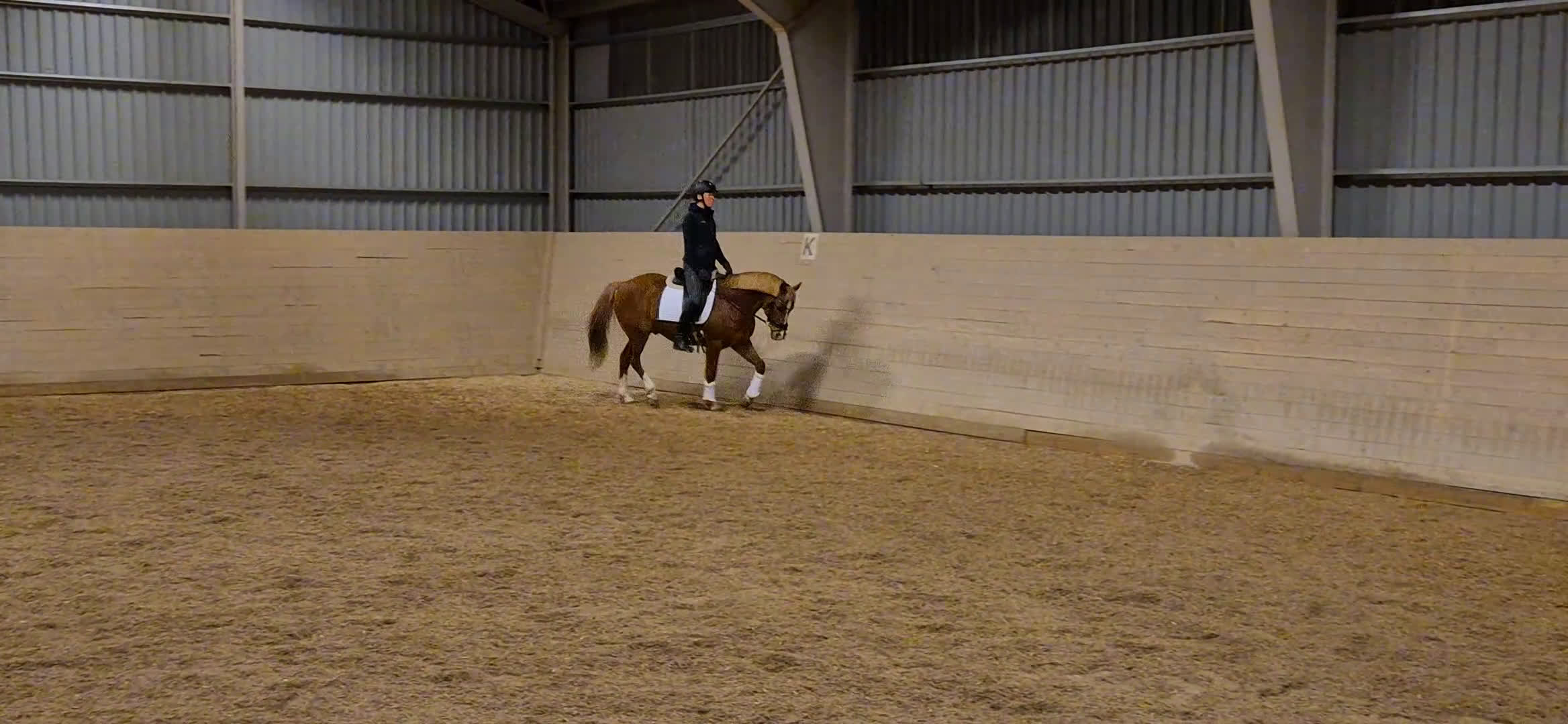 Dressyr hästar till salu: Trygg dressyrponny söker ny ryttare i Fjärdhundra - Video 1