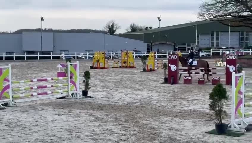 Hoppning hästar till salu: Topp D ponny för de stora uppgifterna 🌟 - Video 4