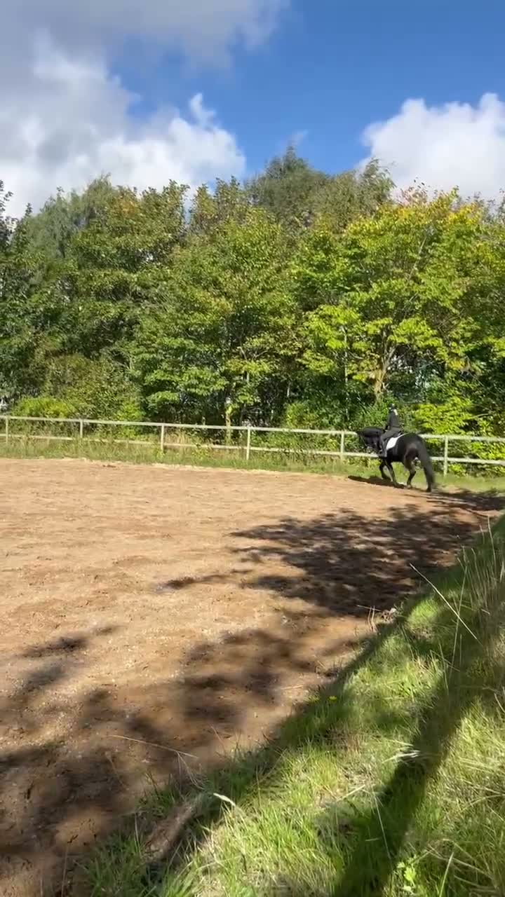 medryttarhäst finnes: Medryttare maxad D - Video 1