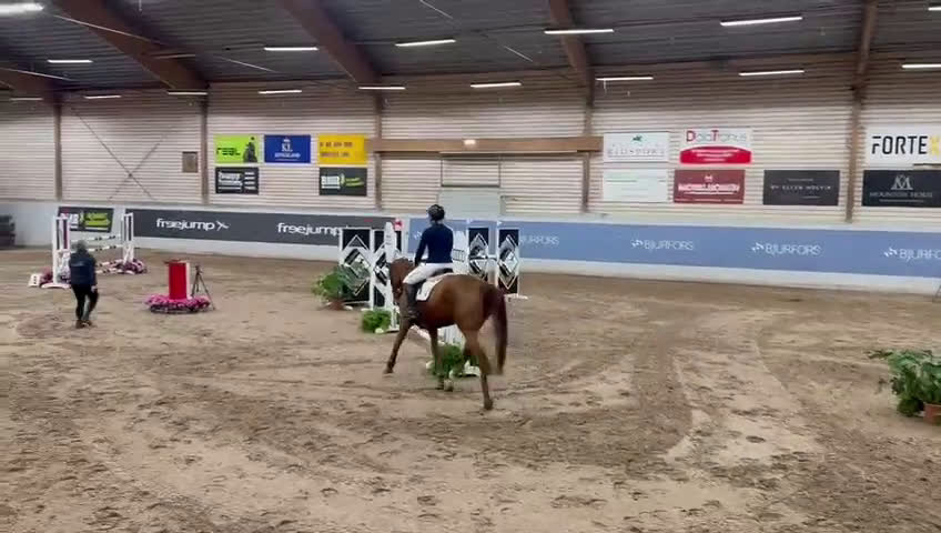 Hoppning hästar till salu: Hopphäst  i Säve - Video 1