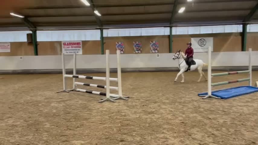 Allround hästar till salu: 3 årigt ponny sto Connemara/halvblod - Video 1