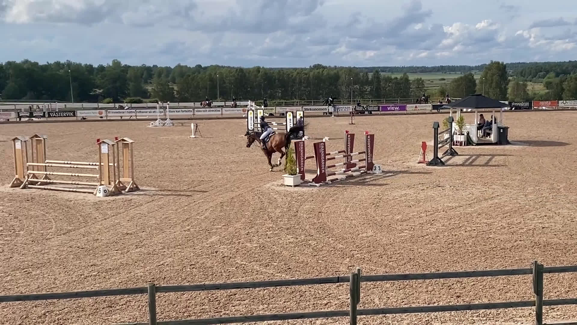 Hoppning hästar till salu: Snygg och sportig valack  i Västervik - Video 2