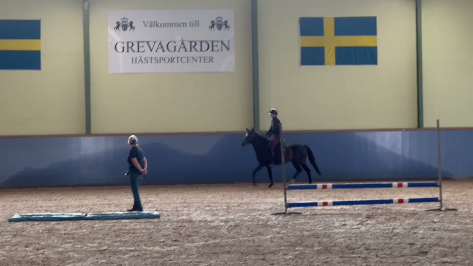 Hoppning hästar till salu: D-ponny e.Emmerton SWB - Video 3