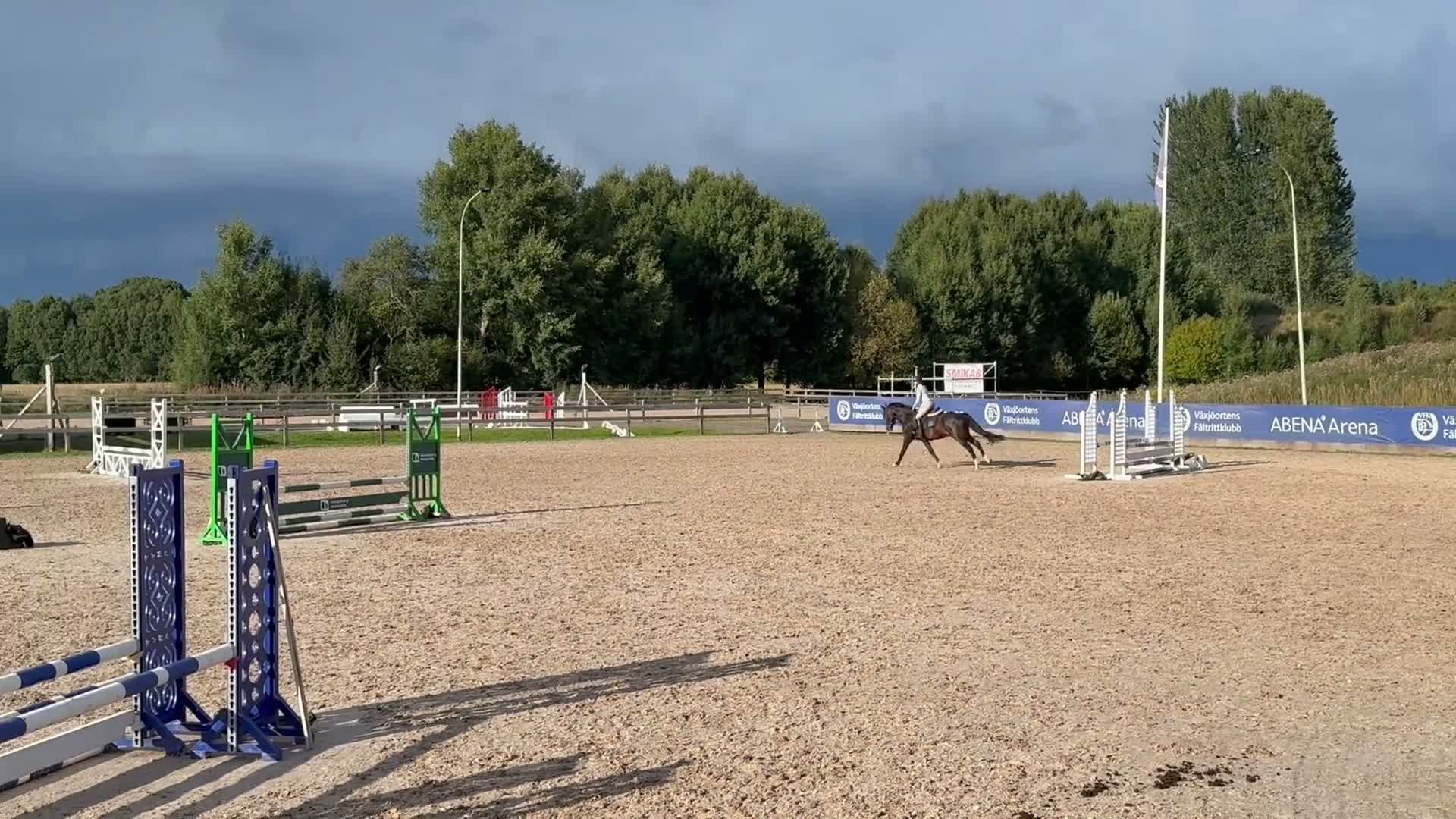 Allround hästar till salu: Vacker & charmig kille m massa potential. - Video 2