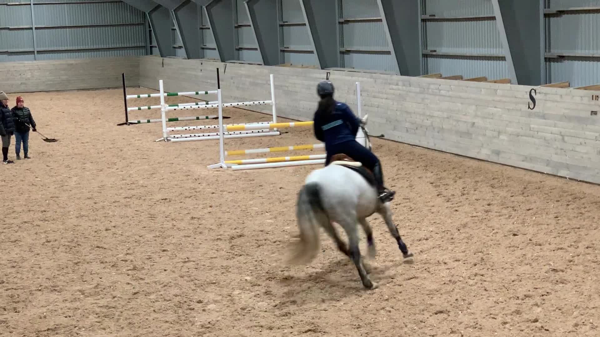 Allround hästar till salu: Fancy maxad D-ponny perfekt för mor och dotter - Video 3