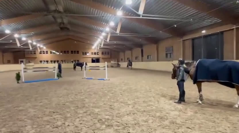 Hoppning hästar till salu: Mycket fin häst med bra huvud - Video 2