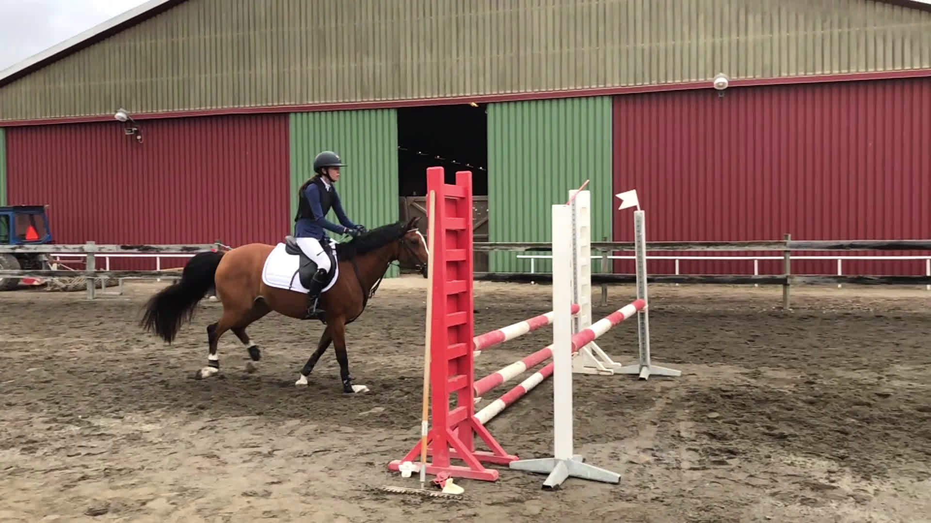 Hoppning hästar till salu: Världens bästa ponny!  - Video 1