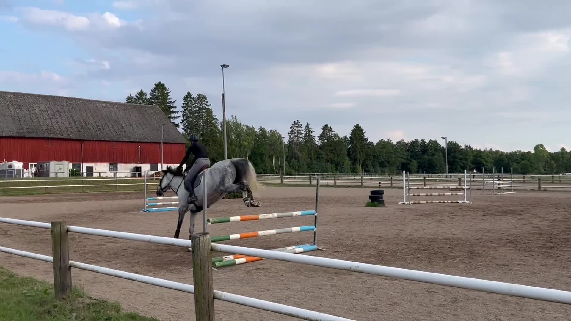 Hoppning hästar till salu: Fantastiskt sto - Video 1
